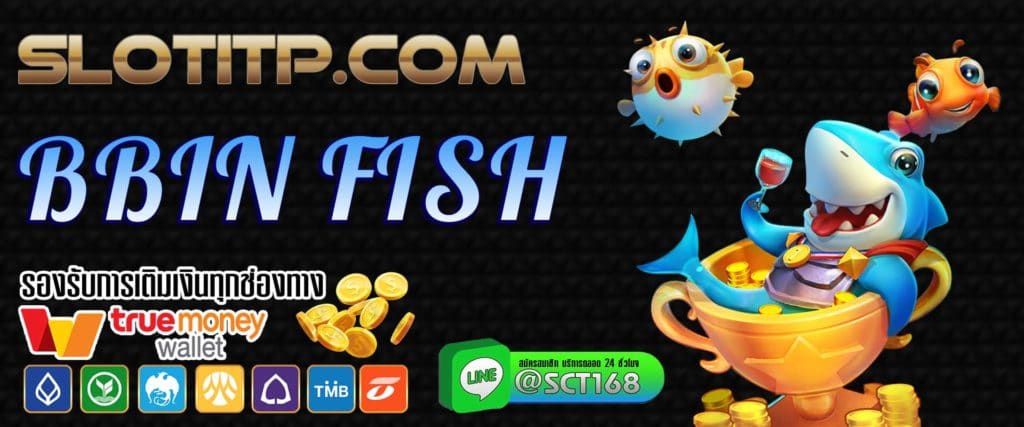 bbin fish เว็บหลัก